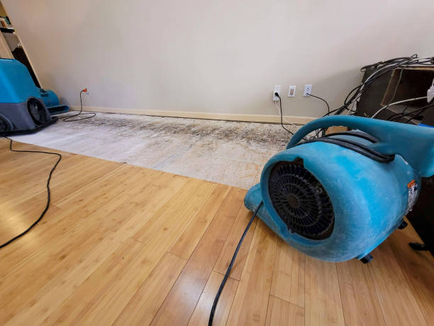 Reliable Storm Water Damage Restoration contractor in Lynchburg, VA by Hirex Water Damage