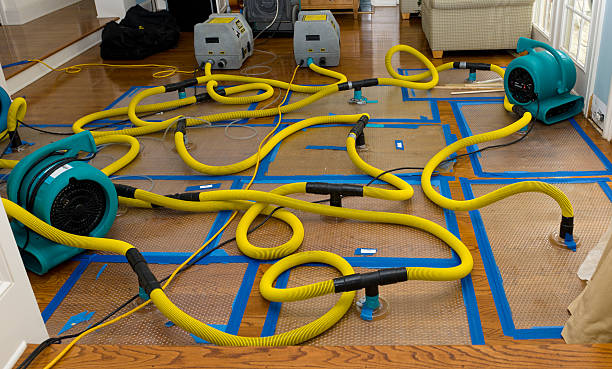Professional Storm Water Damage Restoration technician working in Lynchburg, VA